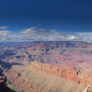 Meet your Posher, Jane
